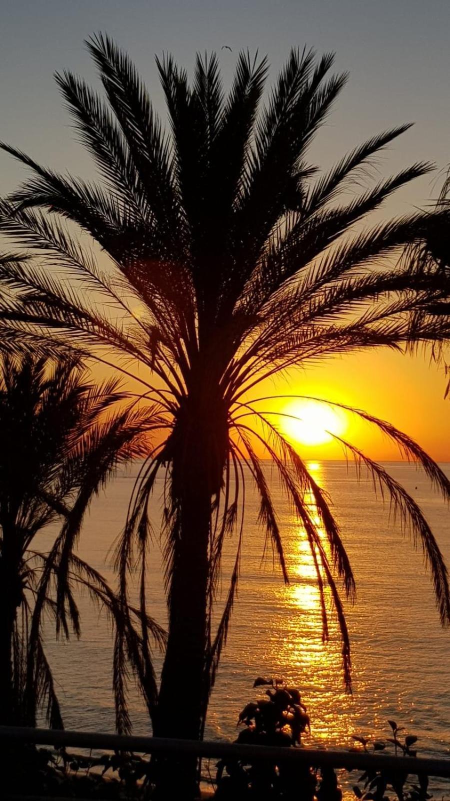 Aloha Beach Vibe Benalmádena Kültér fotó